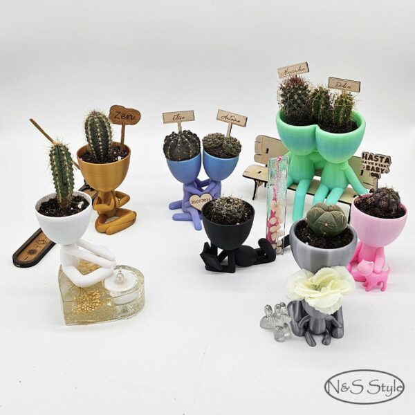 Cadeau mariage invités pot de fleur cactus 3D